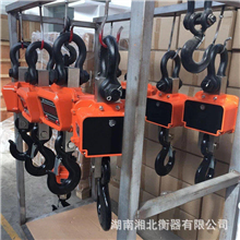 惠州3吨电子吊秤厂家